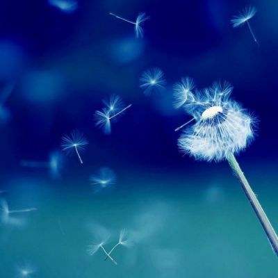 狂热摩托越野赛